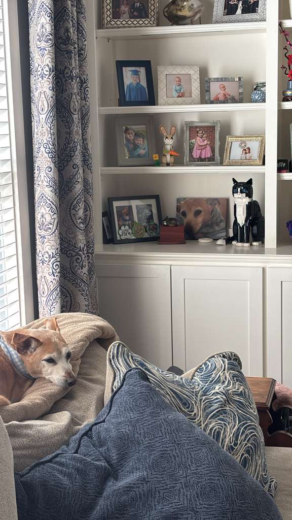 Customer canvas - dog photo